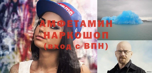прущие грибы Анжеро-Судженск