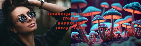 хмурый Вязьма