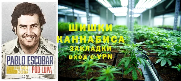 дурь Анива