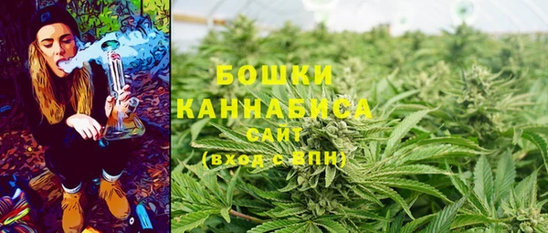 дурь Анива
