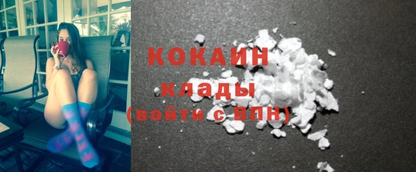 прущие грибы Анжеро-Судженск