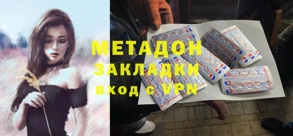 прущие грибы Анжеро-Судженск