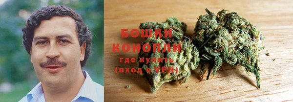 дурь Анива