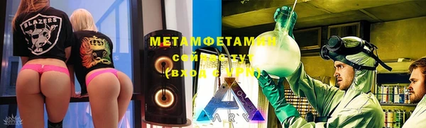 прущие грибы Анжеро-Судженск