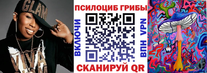 Галлюциногенные грибы Psilocybe  продажа наркотиков  Кемь 